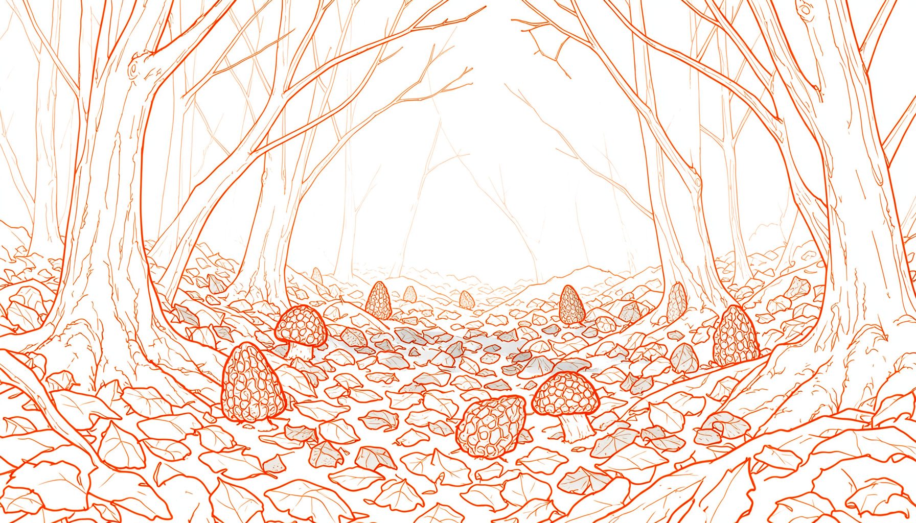 A forest floor in early spring with dappled sunlight filtering through bare branches, scattered fallen leaves in muted browns and grays, and a few honeycomb-textured morel mushrooms emerging from the leaf litter.