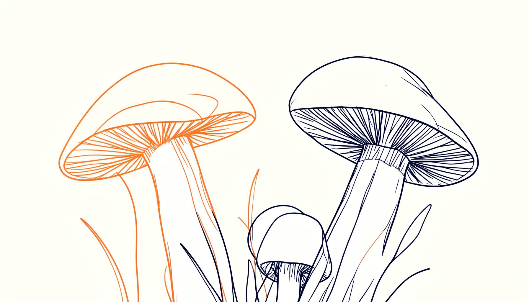 Warm-toned abstract illustration of mushroom caps in soft orange and deep navy against a light cream background, calm and natural mood